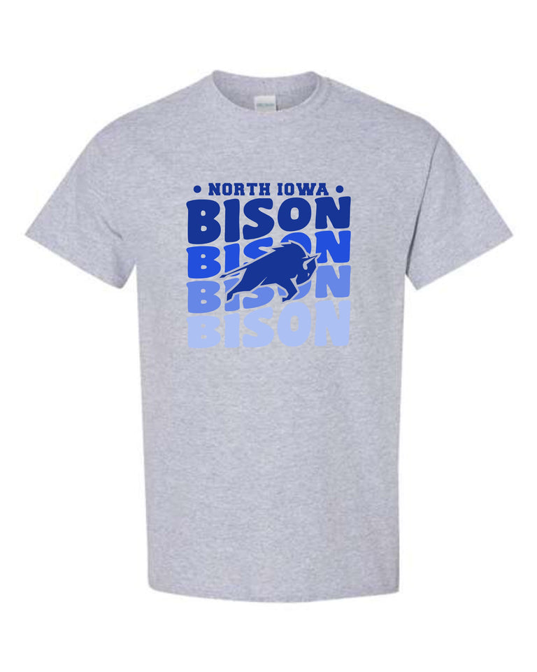 North Iowa Bison Cheer {2023}