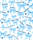 CS Cheer '26- All Over Print Blanket