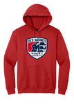 DSM Women's Hockey - Gildan® Heavy Blend™ Hooded Sweatshirt