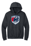 DSM Women's Hockey - Gildan® Heavy Blend™ Hooded Sweatshirt