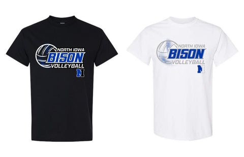 NI VB 2025 - Short Sleeve Tee (Youth/Adult)