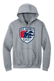 DSM Women's Hockey - Gildan® Heavy Blend™ Hooded Sweatshirt