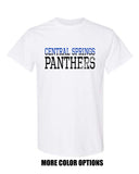 CS Spirit Shop - Gildan Short Sleeve Tee | 2 Tone CS PANTHERS