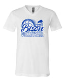 NI VB 2026 - BELLA + CANVAS - Jersey V-Neck Tee