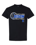 NI VB 2025 - Short Sleeve Tee (Youth/Adult)