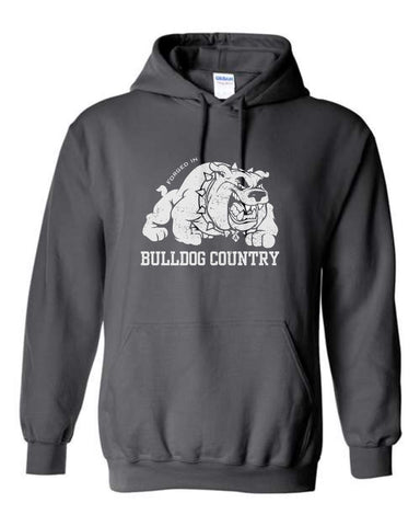 Algona Homecoming '25 - Hooded Sweatshirt (Youth/Adult)