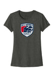 DSM Women's Hockey -Nike Women's Swoosh Sleeve rLegend Tee