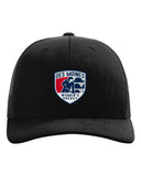 DSM Women's Hockey -Richardson Trucker Cap